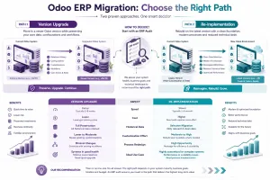 Comparison of Odoo version upgrade and ERP re-implementation based on cost, speed, customization, data and business process complexity